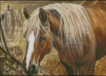 (image for) The Hay Net